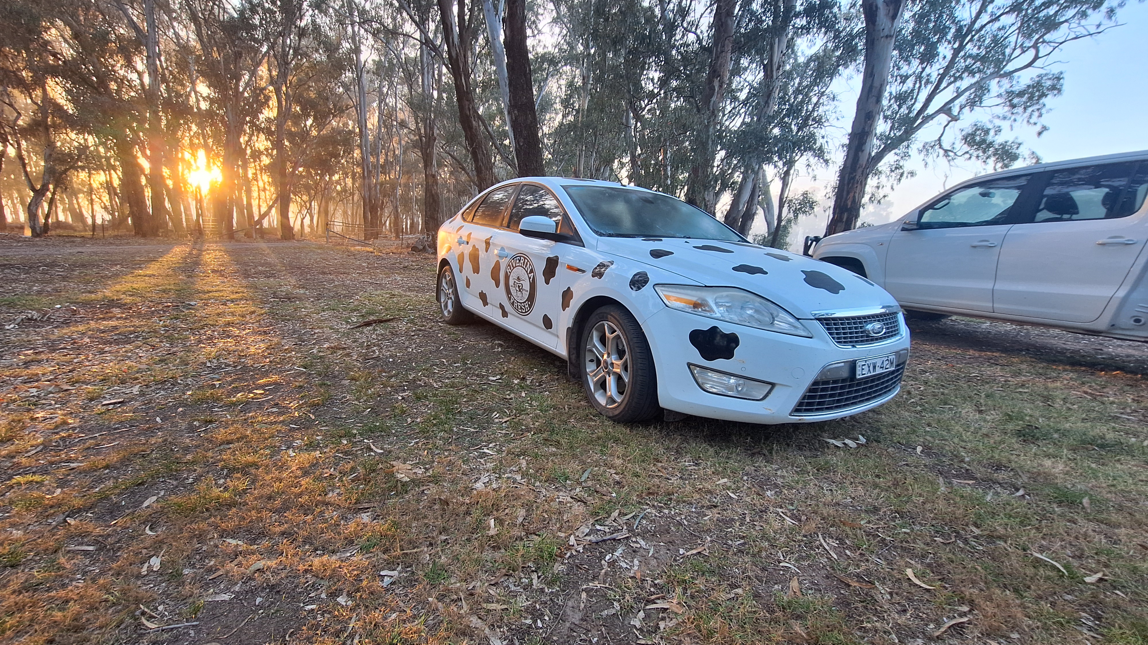 More Than Just Milk Co